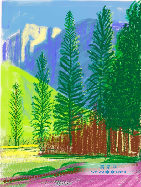 大卫·霍克尼 David Hockney - “Untitled No. 12” from “The Yosemite Suite”