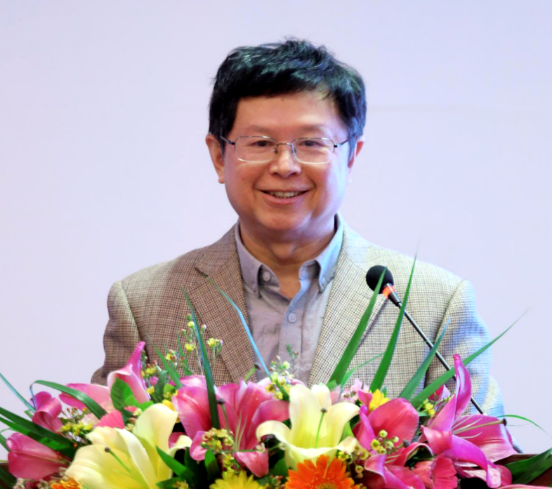 广东省建筑材料行业协会常务副会长陈环对协会工作创新给予高度好评