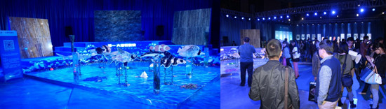 һʯש,2013ʦȿ
