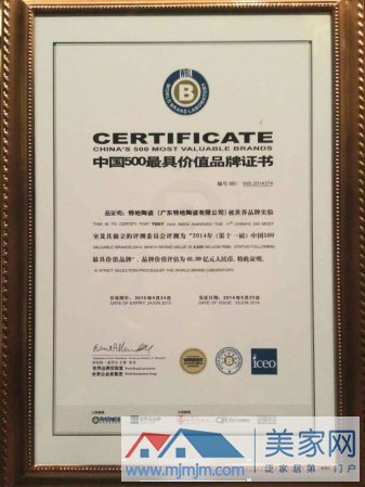 中国最具价值品牌500强证书